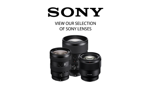 Responsive Lenses Category PCA